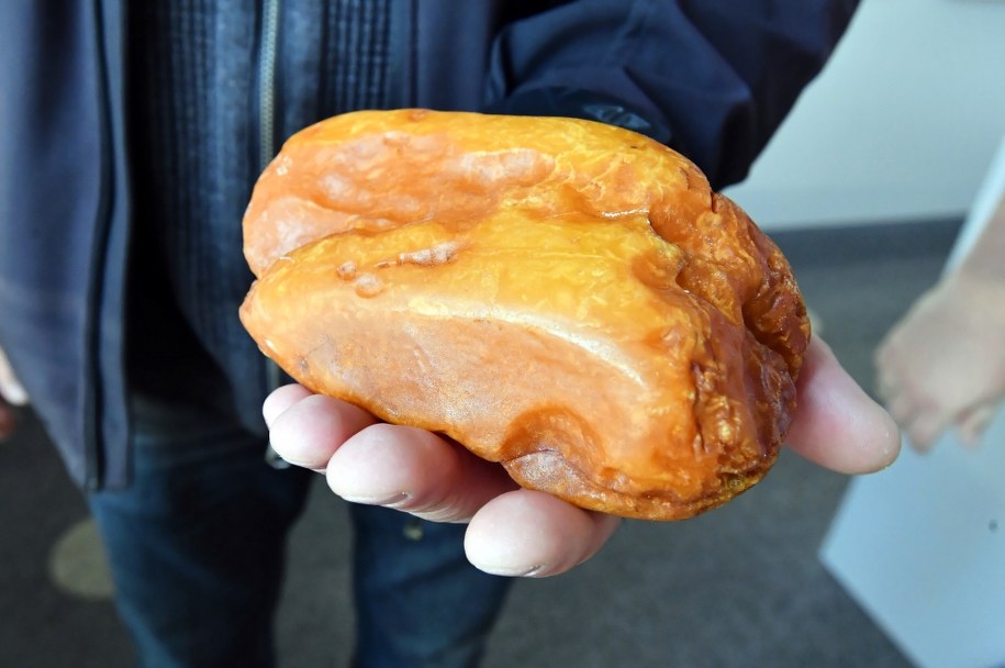 Rzadko spotykanej wielkości okaz został znaleziony na plaży zachodniej, nieopodal Szańca Kleista / 	Marcin Bielecki    /PAP
