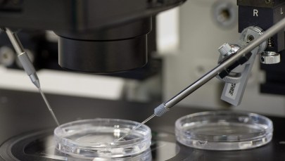 Rządowy program in vitro: Ponad 600 par oczekuje dziecka 