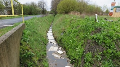 Rzeczka Bukowa zamieniona w wysypisko śmieci