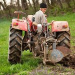 "Rzeczpospolita": Nowy bonus dla rolników
