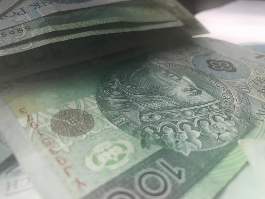 Rzeczpospolita: Odzyskanie VAT od komornika? Możliwe, choć skomplikowane /Monika Kamińska /RMF FM