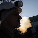 "Rzeczpospolita": Rok brunatnego węgla