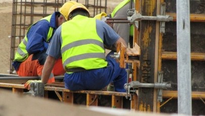 "Rzeczpospolita": Zaczął się brexodus. Polacy opuszczają Wielką Brytanię