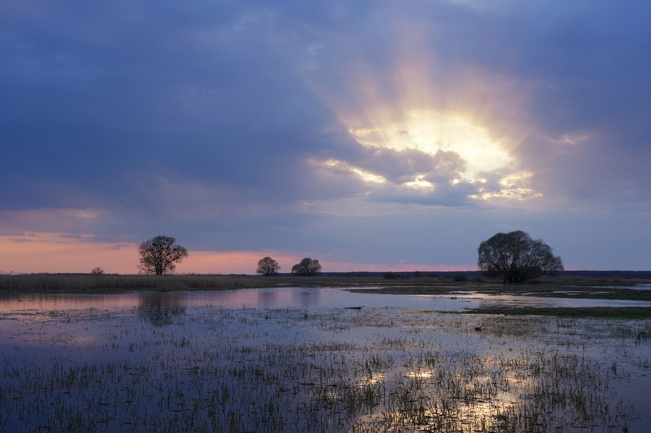 Ostrzeżenia hydrologiczne IMGW: Możliwe przekroczenie stanów alarmowych