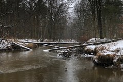 Rzeka Bóbr - raj dla kajakarzy 
