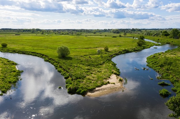 Rzeka Bzura widziana z drona / 	Leszek Szymański    /PAP