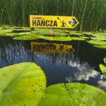 Rzeka Czarna Hańcza i jezioro Wigry skażone. "W wodzie płynęła zawiesina"