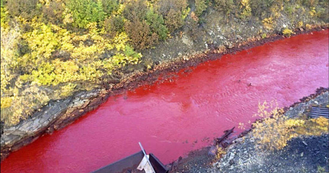 Rzeka Daldykan zmieniła nagle kolor na czerwony. Fot. Stowarzyszenie Rdzennych Mieszkańców Tajmyru /materiały prasowe