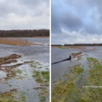 Rzeka Łeba przerwała wał przeciwpowodziowy