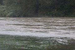 Rzeka Skawa wylała w Wadowicach