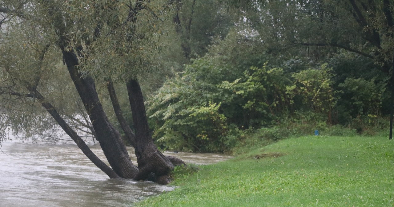 Rzeka Skawa wylała w Wadowicach