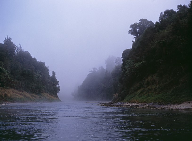 Rzeka Whanganui w Nowej Zelandii, której nadano osobowość prawną. /Stuart Franklin /Agencja FORUM