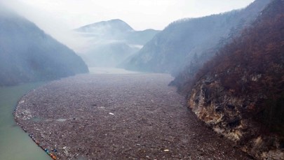 Rzeka zmieniła się w jedno wielkie wysypisko. Czegoś takiego jeszcze nie widziałeś!