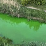 Rzeka zrobiła się zielona, mieszkańcy są zaniepokojeni. Znamy przyczynę