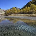 Rzeki w Alpach się zmieniają. Górskim obszarom grozi kryzys bioróżnorodności