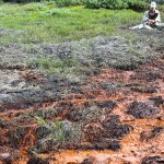 Rzeki w Arktyce "rdzewieją" od lat. Już wiadomo, dlaczego. Są dwa powody