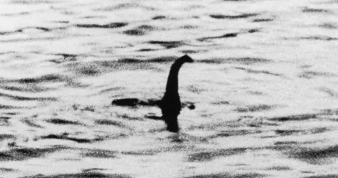 Rzekome zdjęcie Nessie, jakie pojawiło się wiele lat temu na łamach "Daily Mail" /materiały prasowe