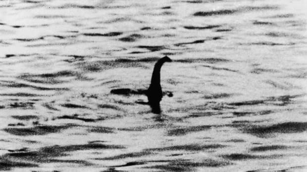 Rzekome zdjęcie potwora z Loch Ness zna chyba każdy. Wtedy okazało się, że na fotografii widnieje zwykła gałąź /Wikimedia Commons /domena publiczna