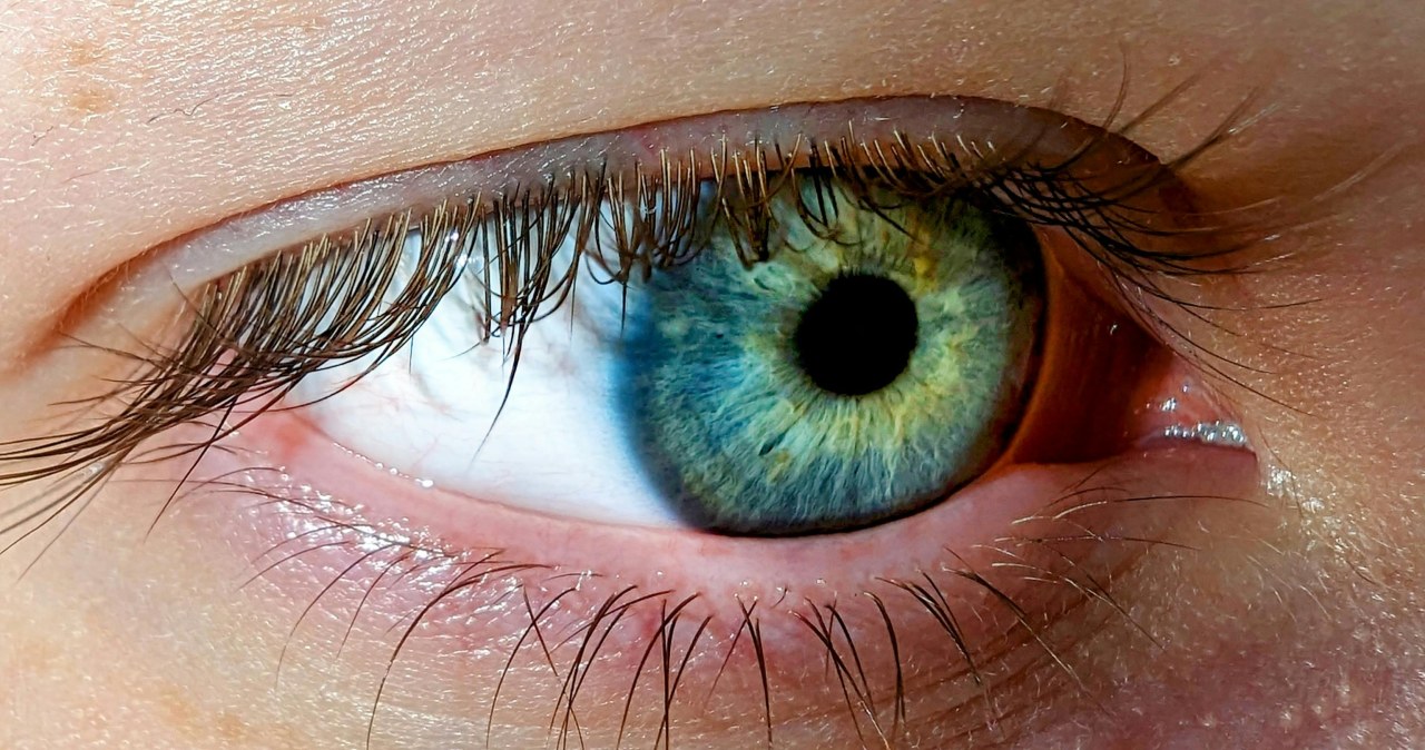 Rzęsy staną się ciemniejsze, jeśli regularnie będziesz na nie nakładać napar z herbaty /V D /pexels.com