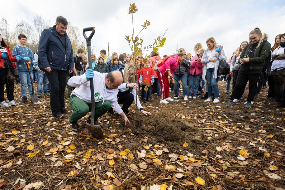 Rzeszów włączył się do akcji "Czyste, zielone miasta" /Grzegorz Bukała/Urząd Miasta Rzeszowa /Materiały prasowe