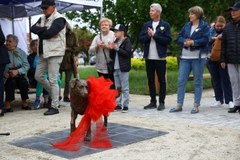 Rzeźba psa Miśka w Wołominie