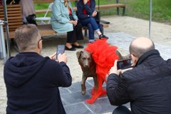 Rzeźba psa Miśka w Wołominie