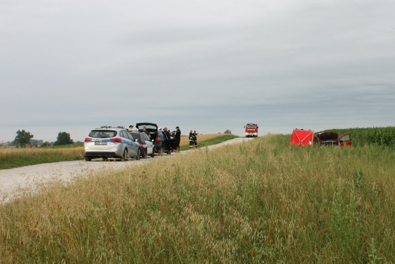 Rzobity samochód porzucono w polu kukurydzy /Policja