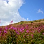 "Rzuć wszystko i jedź w Bieszczady". Park narodowy obchodzi 50 urodziny