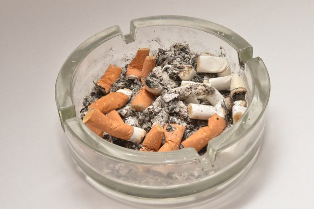 Rzucający palenie muszą pamiętać o dobrej diecie /CTK/Svancara Petr /PAP