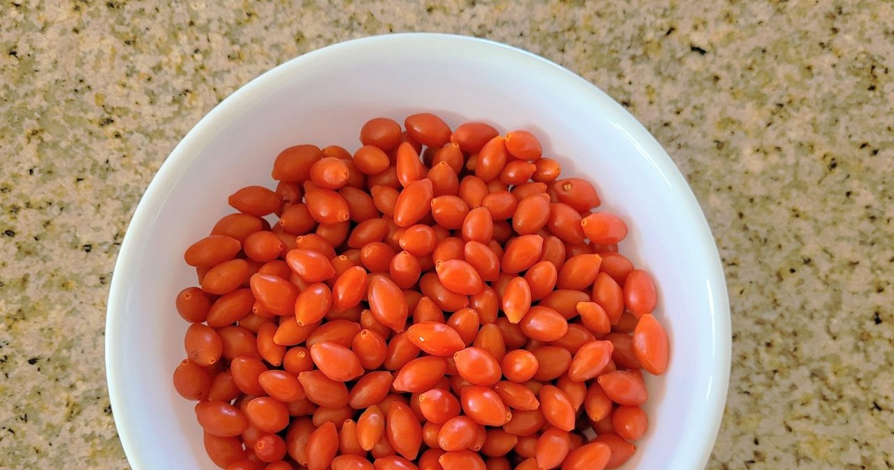 Są czerwone, naturalnie słodkie, a w dodatku pomagają schudnąć. Jagody goji to prawdziwy superfood /nayuta /Canva Pro