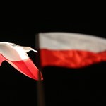 Są kary dla Niemców, którzy zdeptali biało-czerwoną flagę