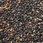 Są lepsze od nasion chia i siemienia lnianego. W jelitach działają jak odkurzacz 