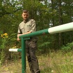 lasy Są niemal w każdym lesie w Polsce. Rozpoczęło się wielkie usuwanie