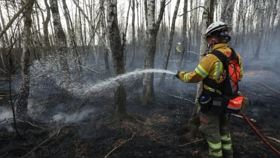 Są nowe, optymistyczne informacje ws. akcji gaśniczej w parku narodowym