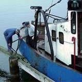 Są pieniądze dla rybaków za złomowanie kutrów? /RMF FM