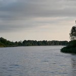 Są pieniądze na zarybianie Odry. Można już składać wnioski