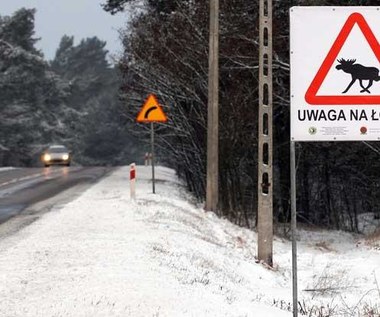 Są śmiertelnie niebezpieczne. Ale dlaczego "modlą" się na drogach?