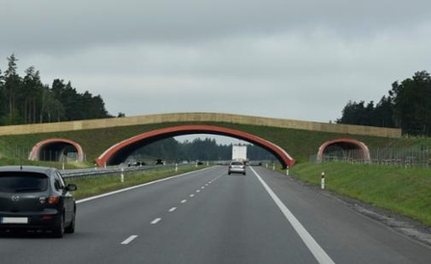 ​Są wyniki pomiaru ruchu. Najbardziej zatłoczona jest "siódemka"