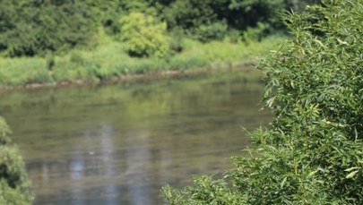 Są wyniki sekcji zwłok noworodka znalezionego w rzece na Lubelszczyźnie