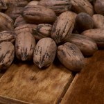 Są zdrowe, a my wybieramy inne. Chrup kilka codziennie, serce będzie dobrze pracować, pamięć się poprawi