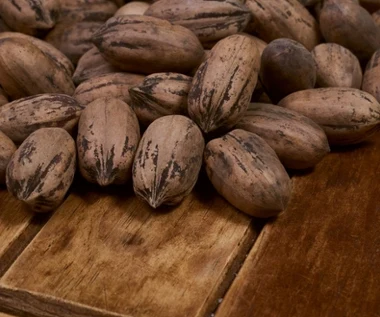 Są zdrowe, a my wybieramy inne. Chrup kilka codziennie, serce będzie dobrze pracować, pamięć się poprawi