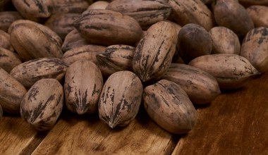 Są zdrowe, a my wybieramy inne. Chrup kilka codziennie, serce będzie dobrze pracować, pamięć się poprawi