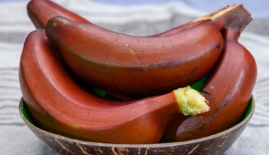 Są zdrowsze od klasycznych, w smaku z nutą malin i mango. Regulują trawienie i chronią oczy