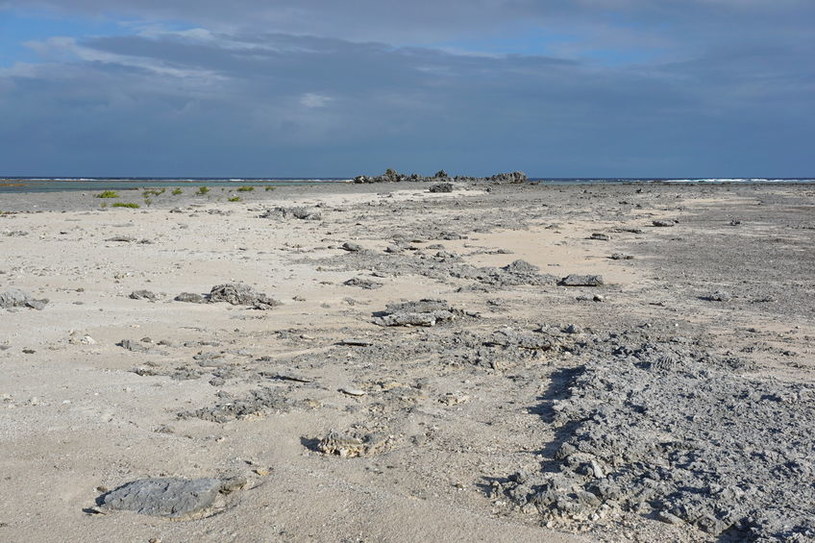 Sable Island to łacha piasku, która nieprzerwanie wędruje po chłodnych wodach Atlantyku /123RF/PICSEL