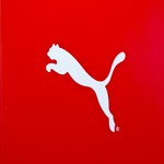 Sąd: Puma to nie domowy kot w fazie lądowania