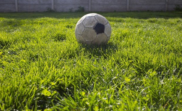 Sądowa batalia o piłki w ogrodzie. Wyrok na korzyść małżeństwa