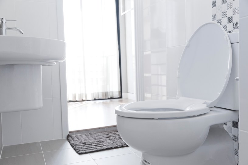 Sądowa batalia o spłuczkę w WC trwała 18 lat /  benaung /123RF/PICSEL