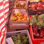 jabłka Sadownicy narzekają na końcówkę sezonu. "Nie ma po co jechać na rynek"