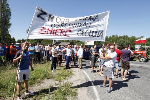 Sadownicy protestują przeciwko niskim ich zadaniem ceną skupu porzeczek, wiśni i jabłek /Artur Reszko /PAP