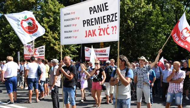 Sadownicy protestują przed KPRM /Radek Pietruszka /PAP